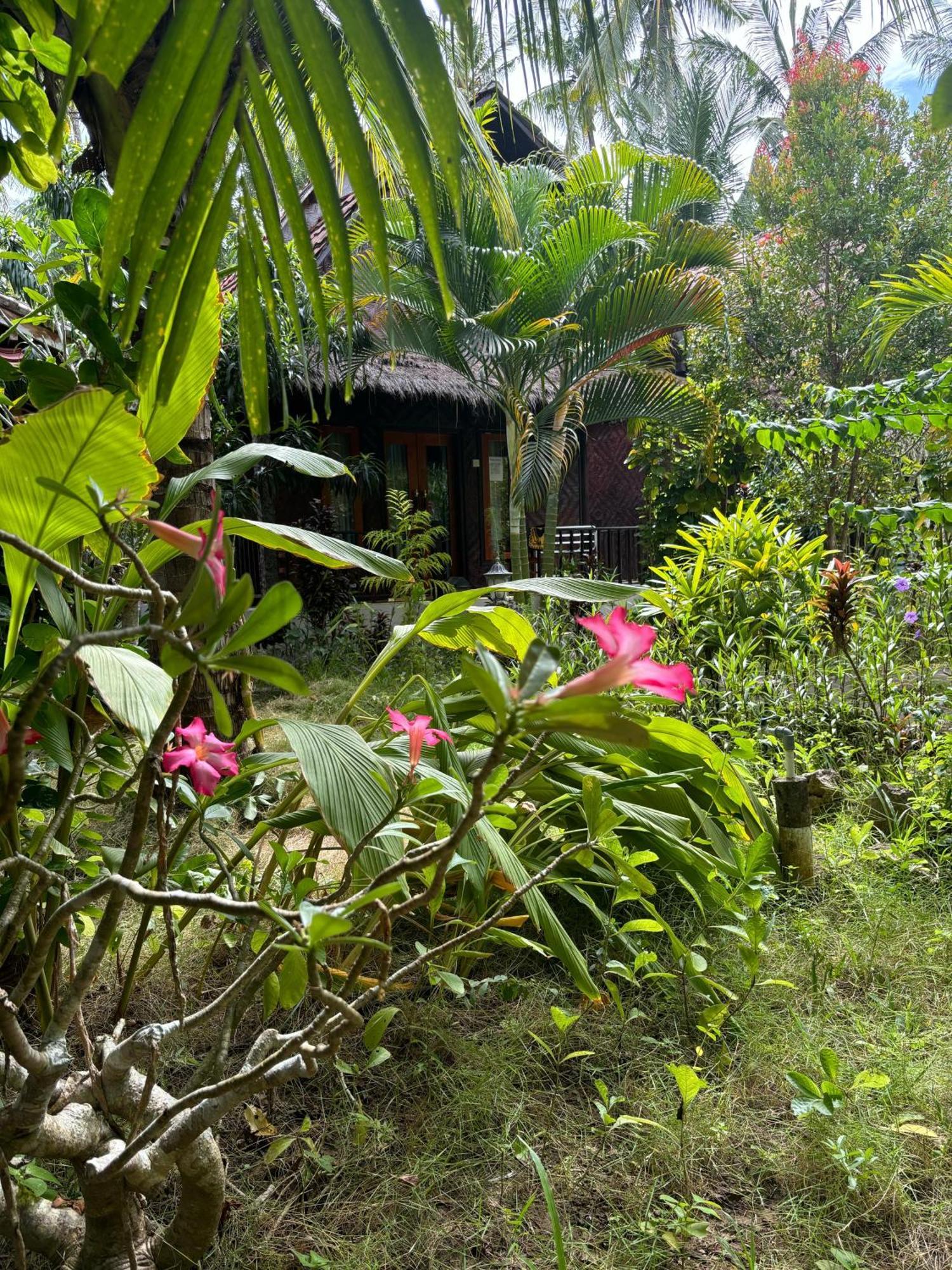 Kubu Artha Bungalow Nusa Penida Ped Zewnętrze zdjęcie